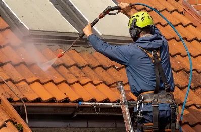 Démoussage et hydrofuge de toiture à Landogne
